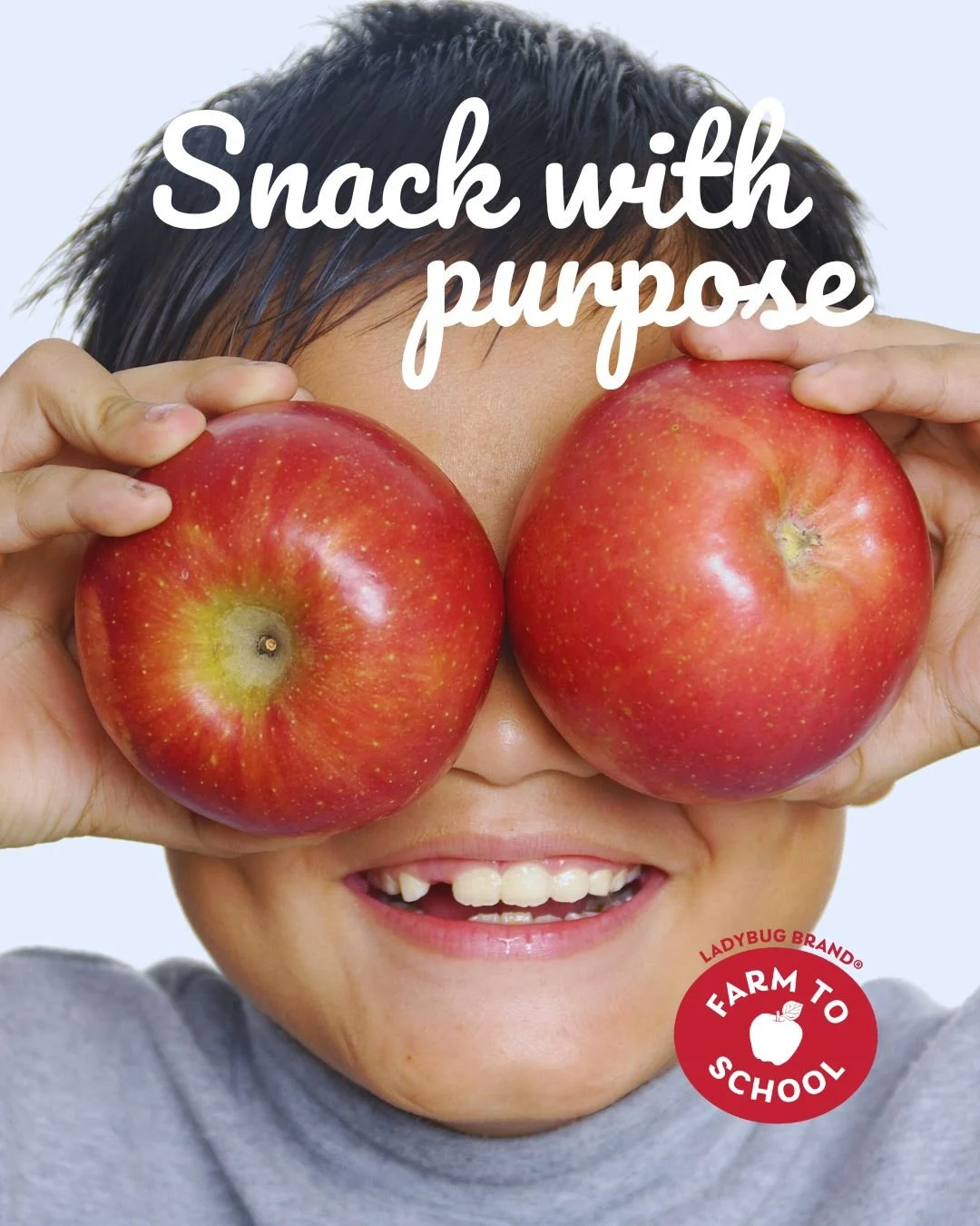 Ladybug Brand Farm to School Apples — Organically Grown Company
